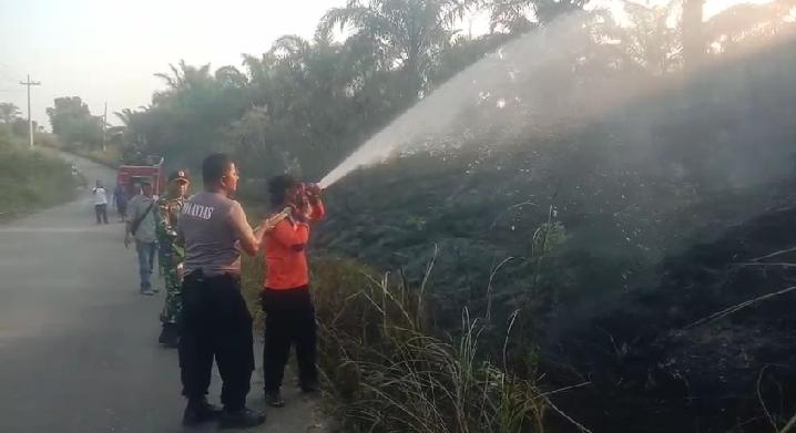 Tim Damkar TNI/ Polri Bersama Awak Media Bantu Padamkan Api Di Lahan Sawit Desa Lubuk Bendahara Rohul