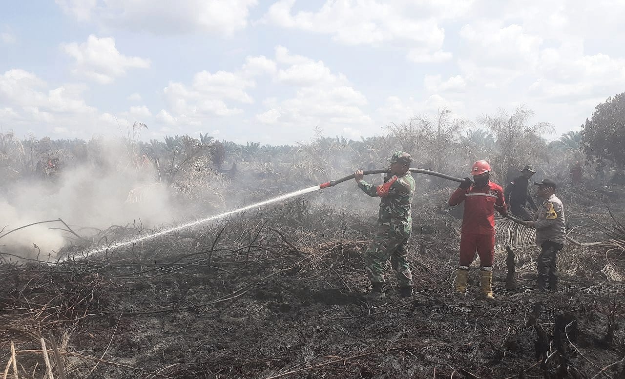 Sekitar 5 Hektar Lahan Gambut Terbakar, Petugas Gabungan Padamkan Api