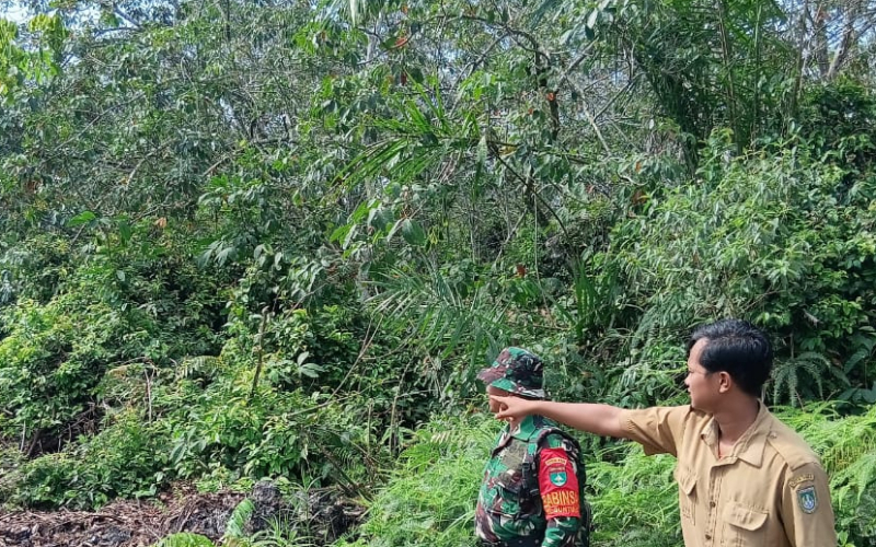 Babinsa Koramil 02 Kodim 0320 Dumai Intensifkan Patroli Karhutla di Medang Kampai