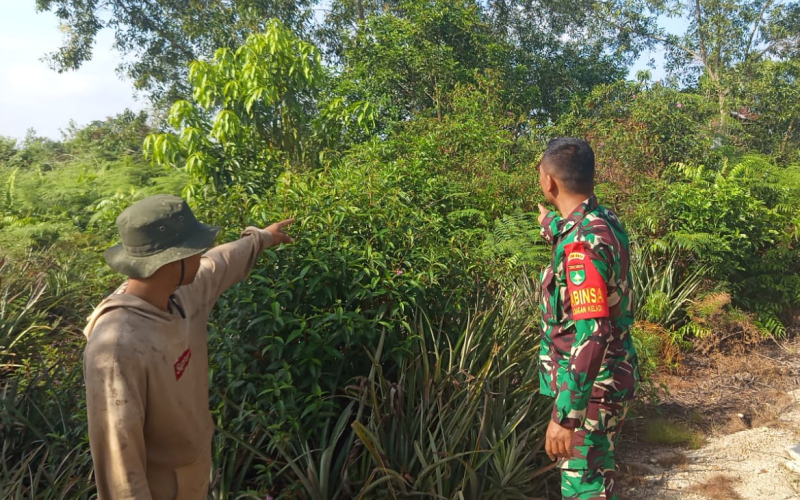 Patroli Karhutla di Dumai Barat, Babinsa Sekaligus Sosialisasi Cegah Kebakaran