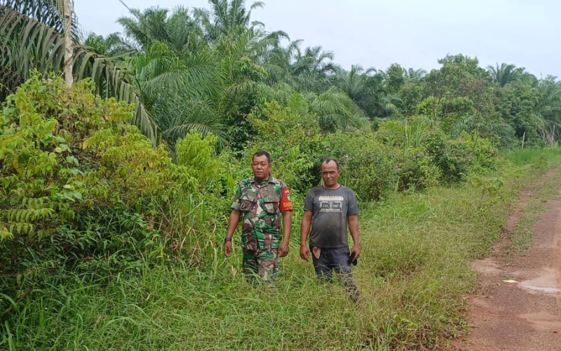 Babinsa Koramil 02 Bukit Kapur Intensifkan Patroli dan Sosialisasi Karhutla