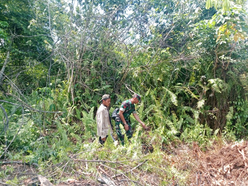 Lahan Gambut Dipantau, Babinsa Koramil 06/Merbau Pastikan Tak Ada Api dan Asap