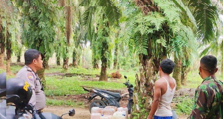 Warga di Kabupaten Rokan Hulu, Riau Dengar Auman Suara Harimau