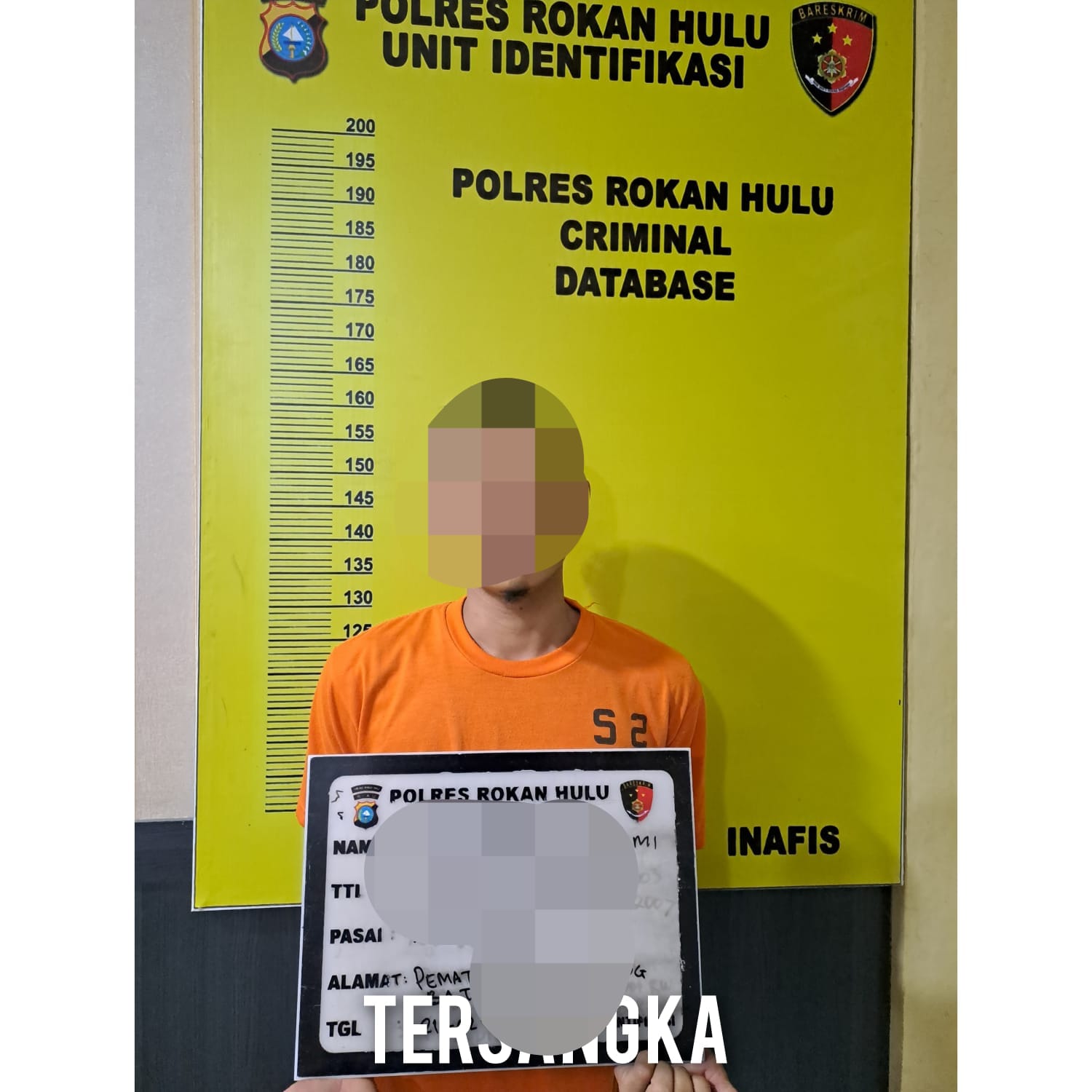 Seorang Tersangka Curat, Tak Berkutik Diringkus Team Resmob Polres Rohul Di Sebuah Cafe Di Lintam