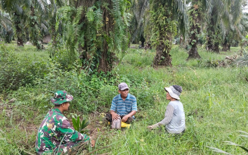 Antisipasi Karhutla, Babinsa Koramil 03/Sungai Sembilan Lakukan Patroli Lahan Gambut