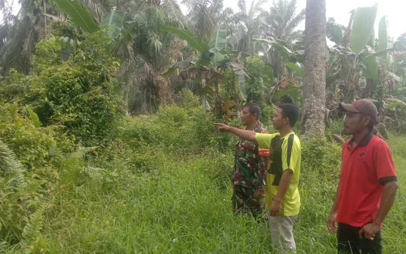 Babinsa Basilam Baru Lakukan Patroli Karhutla, Warga Diingatkan Soal Sanksi Pembakaran Lahan