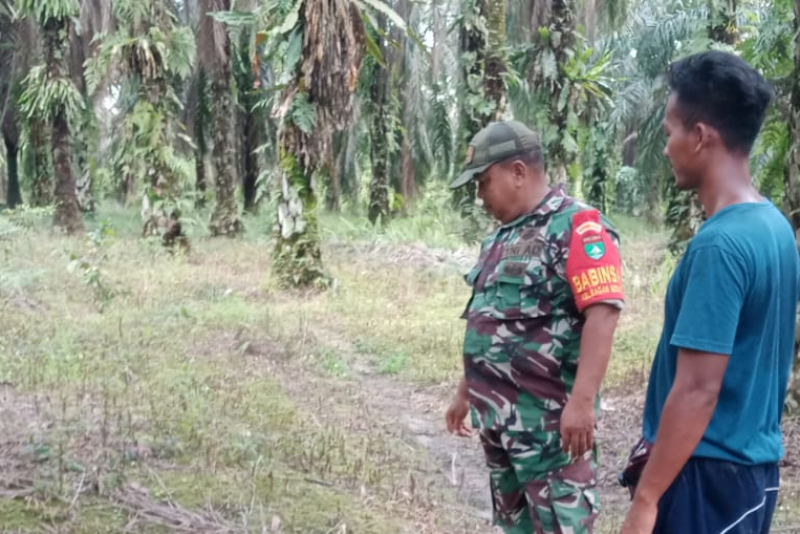 Babinsa Sertu Sareh Gelar Patroli dan Sosialisasi Karlahut di Bagan Besar, Titik Api Nihil