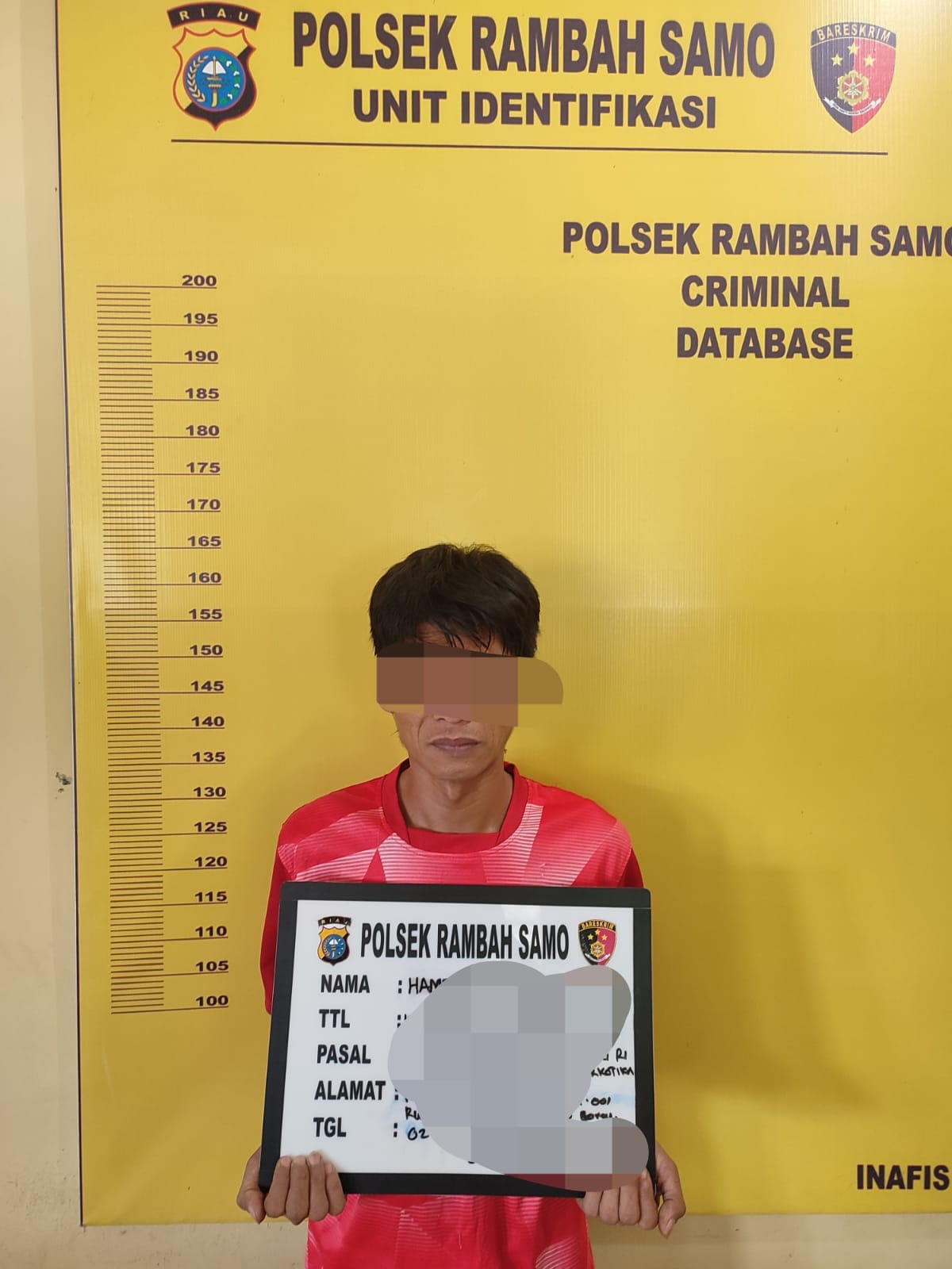 Akibat terlibat  Kasus Sabu, Seorang Pria Di Rambahsamo Barat Diringkus Polisi 