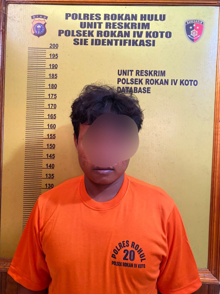 Pemilik Sabu 7,01 Gram Diciduk Personil Polsek Rokan IV Koto