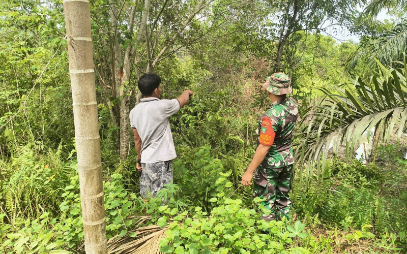 Babinsa Teluk Binjai Patroli Karhutla Sekaligus Dampingi Petani Kacang Panjang di Dumai Selatan