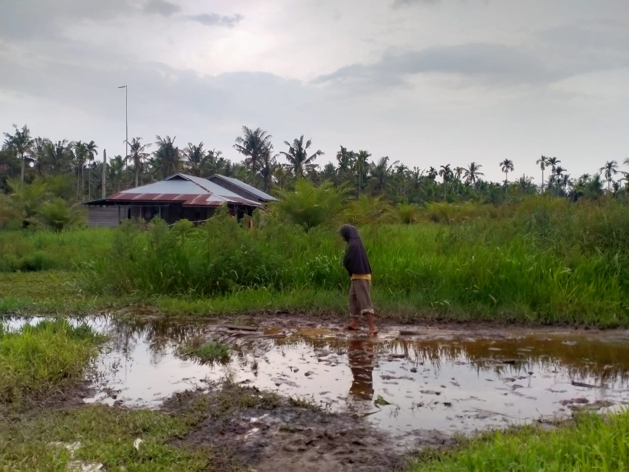 Warga Sering Jadi Korban Pencemaran Limbah Pabrik PT Era Sawita, Tuding DLH Rohul Memble