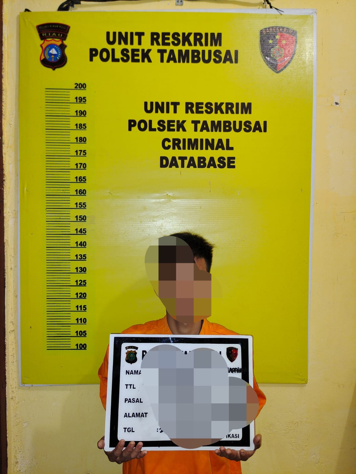 Gerak Cepat Personil Polsek Tambusai Ringkus Tersangka Curat Sepeda Motor