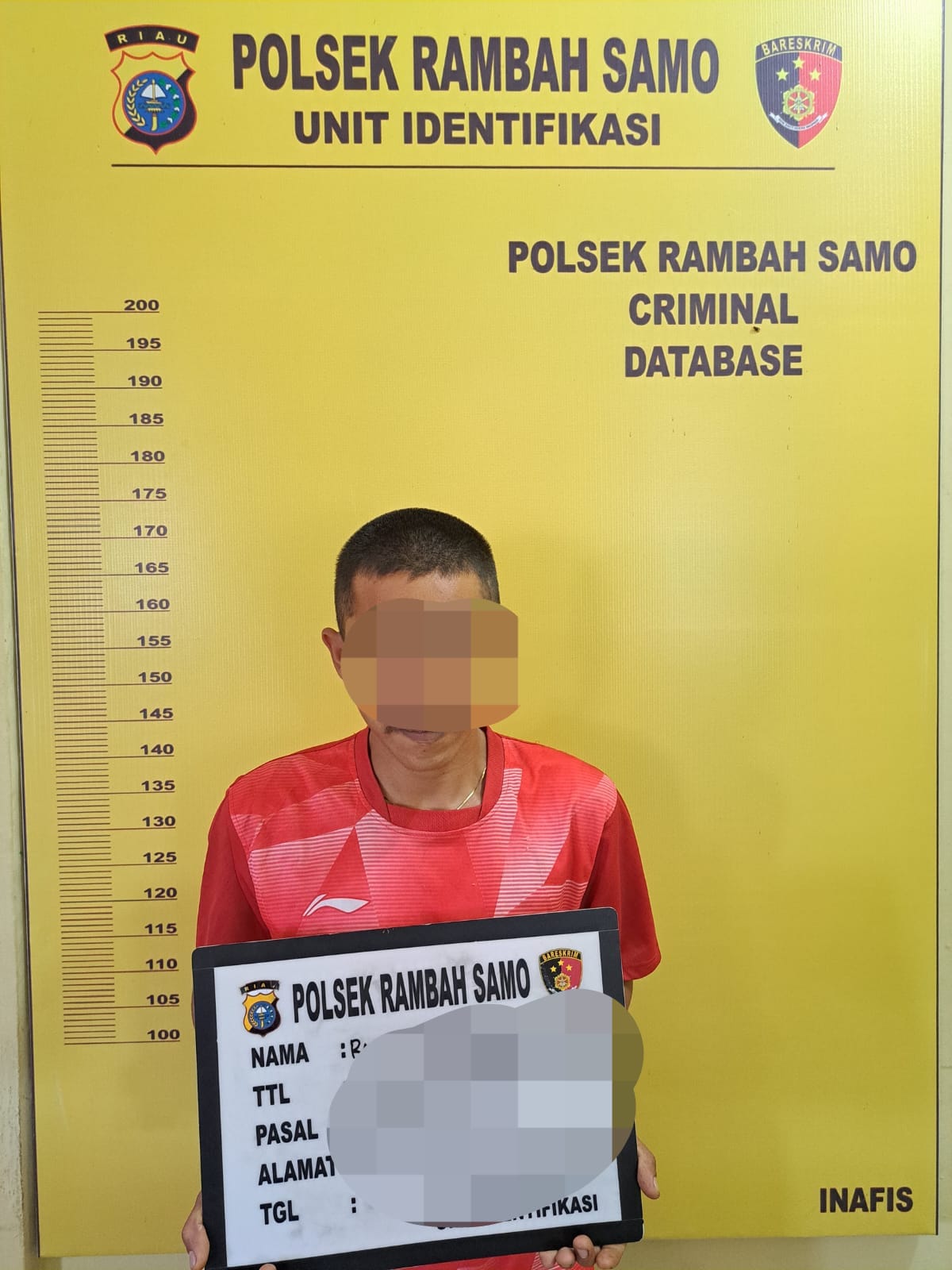 Seorang Pria Pengangguran Diamankan Personil Polsek Rambah Samo, Begini Kejadiannya....