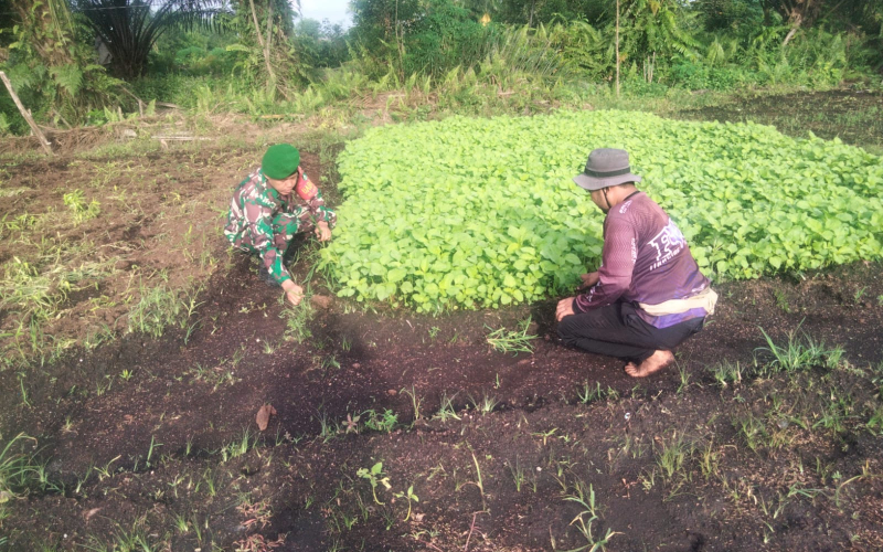 Babinsa Bagan Keladi Ajak Warga Jaga Lingkungan dan Hindari Pembakaran Lahan
