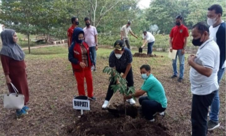 Bupati Rohul H Sukiman Ajak Masyarakat Lestarikan Alam Dengan Menanam Pohon Untuk Penghijauan 