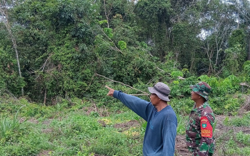 Cegah Karhutla Sejak Dini, Babinsa Guntung Turun Langsung Sisir Wilayah Rawan