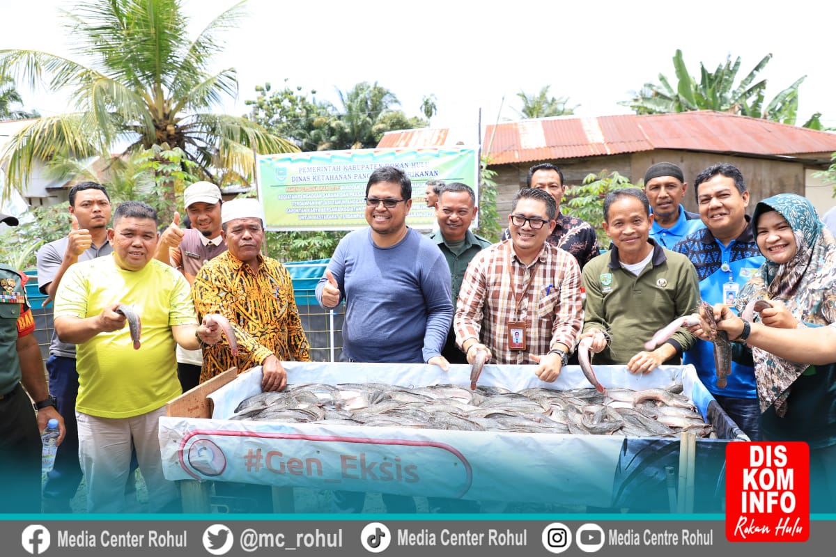 Kadis Ketahanan Pangan dan Perikanan Rohul hadiri Panen Perdana Ikan Lele Kelompok ternak ikan Maju Desa Giti