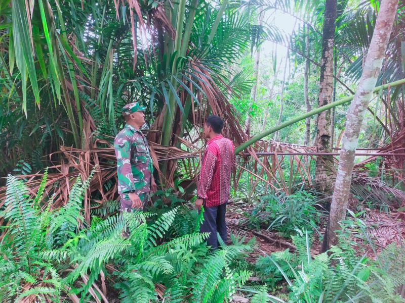 Babinsa Bersama Warga Bergerak, Patroli Karhutla Fokus Amankan Lahan Gambut Pulau Merbau