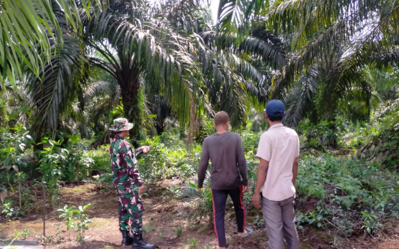 Serda Iwan Sahputra Ajak Warga Waspada Kebakaran Hutan dan Lahan