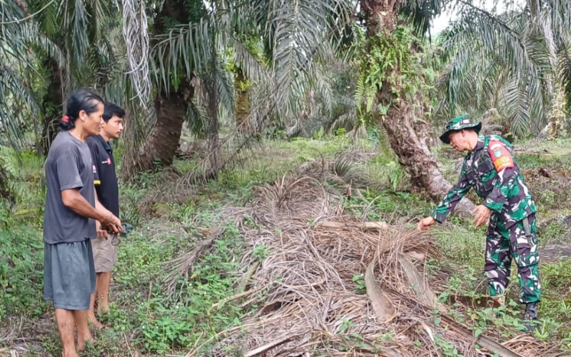 Babinsa Kodim Dumai Intensifkan Patroli Karhutla, Warga Diingatkan Soal Sanksi Hukum