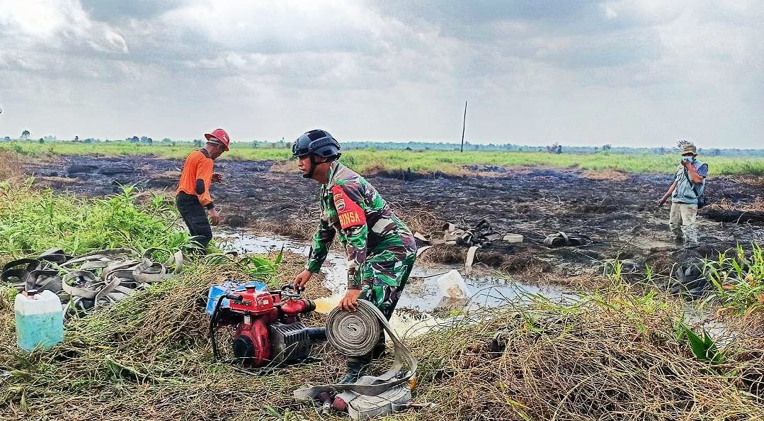 Karhutla di Kabupaten Rokan Hulu Capai 5 Hektare Telah Padam, Alat Berat di Turunkan