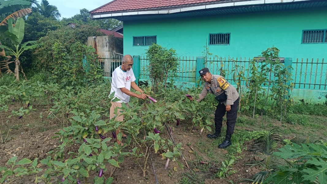 Suasana Akrab Warnai Pengecekan Lahan Ketahanan Pangan di Simpang Tetap Darul Ikhsan