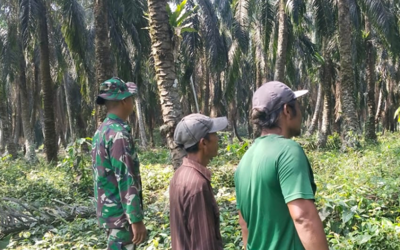 Babinsa Koramil 03 Sungai Sembilan Patroli Karhutla dan Sosialisasi ke Warga Lubuk Gaung
