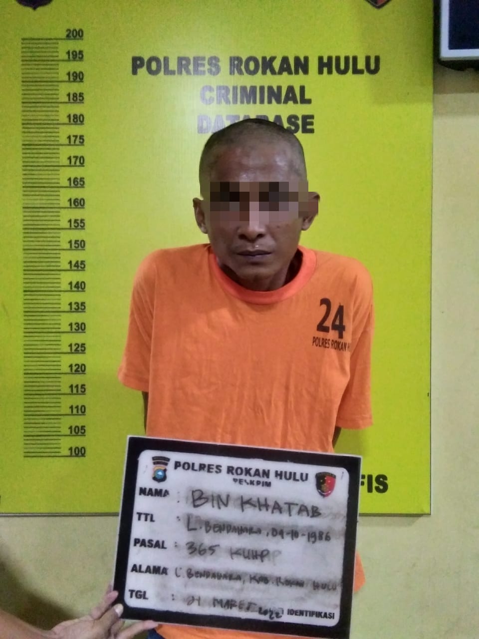 Pelaku Utama Kasus Pembunuhan Di Rokan IV Koto Diringkus Tim Sat Reskrim Polres Rohul