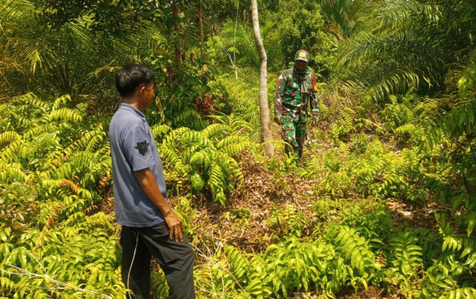 Tak Temukan Titik Api, Babinsa Intensifkan Patroli dan Edukasi Pencegahan Karhutla di Merbau