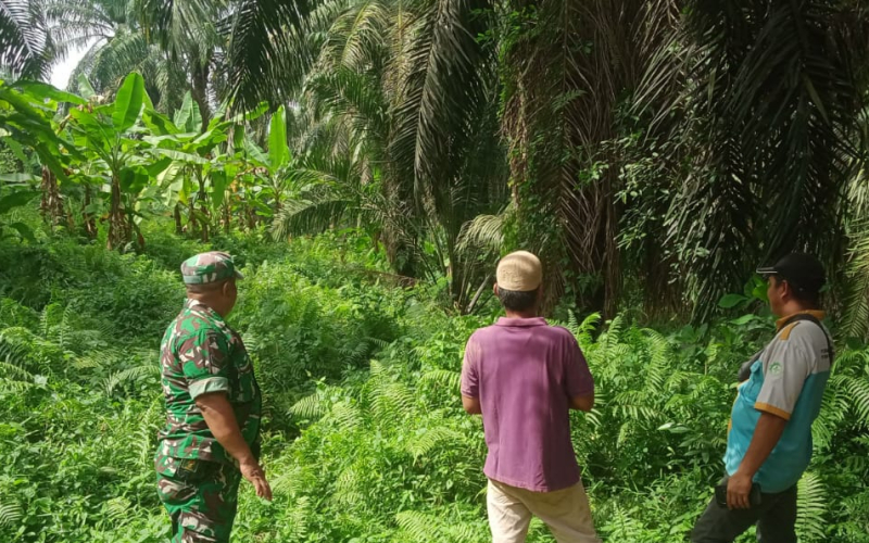 TNI Terus Gencarkan Patroli Karhutla di Bukit Kapur, Pastikan Wilayah Aman dari Titik Api