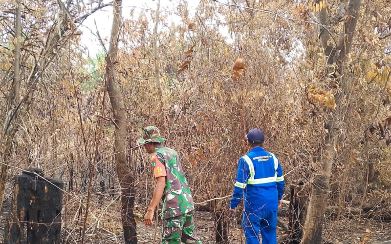 Cegah Karhutla, Babinsa dan MPA Sisir Lahan Bekas Kebakaran di Dumai Timur