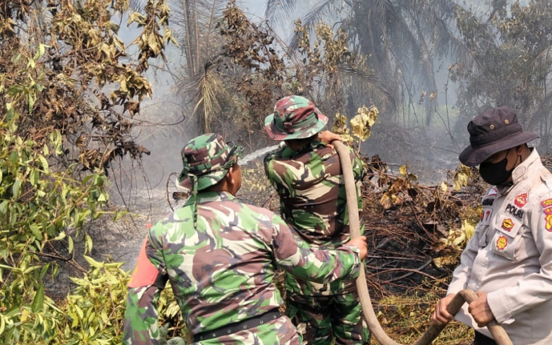 Kebakaran Lahan 11 Hektare di Bukit Kapur Dumai Berhasil Dipadamkan Tim Gabungan TNI