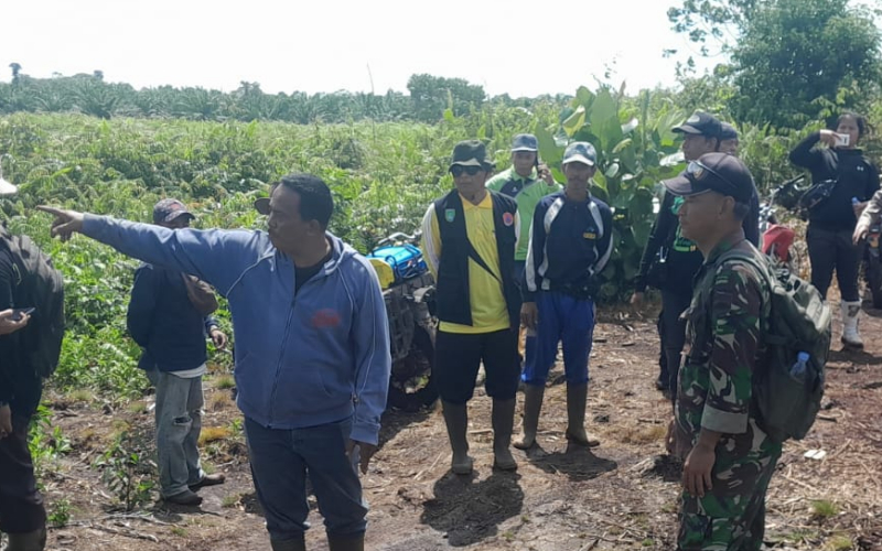 Koramil 02 Bukit Kapur Gencarkan Patroli dan Sosialisasi Cegah Karhutla