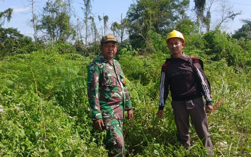Cegah Karhutla, Dandim 0320 Dumai Tegaskan Patroli dan Edukasi ke Masyarakat