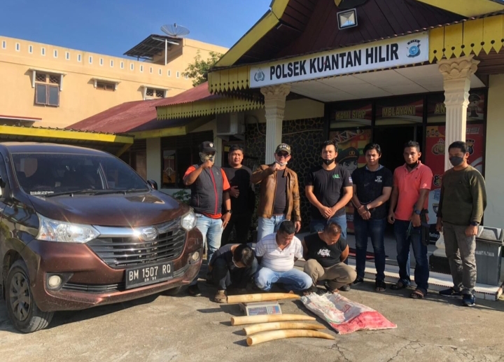 Polda Riau Amankan Pelaku Jual Beli Gading Gajah di Kuansing