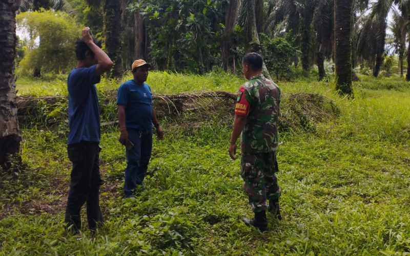 Babinsa Koramil 03 Sungai Sembilan Aktif Patroli Wilayah Antisipasi Karhutla