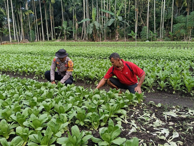 Polsek Dumai Barat Dukung Ketahanan Pangan Lewat Pekarangan Bergizi Warga