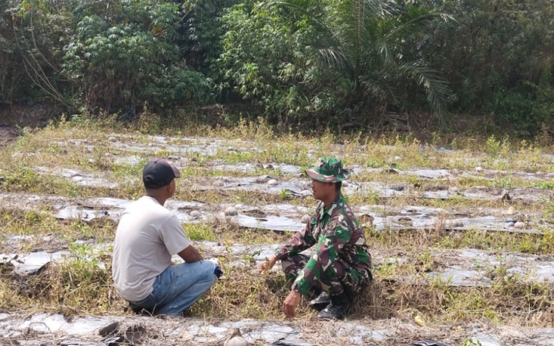 Babinsa Turun Langsung ke Lahan Gambut, Imbau Warga Tidak Bakar Lahan