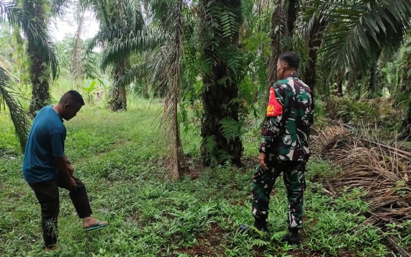 Cegah Kabut Asap, Koramil 03 Sei Sembilan Sosialisasi Larangan Bakar Lahan ke Warga Batu Teritip