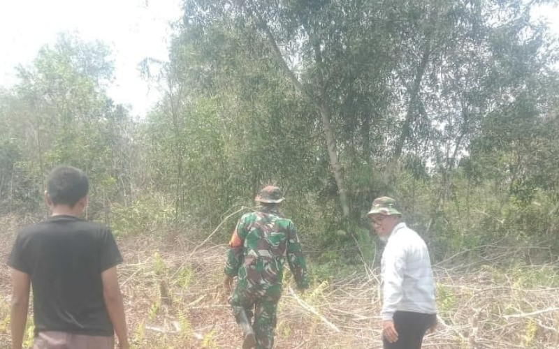 Sinergi Cegah Karhutla: Babinsa dan Warga Tanam Pepaya di Dumai Timur