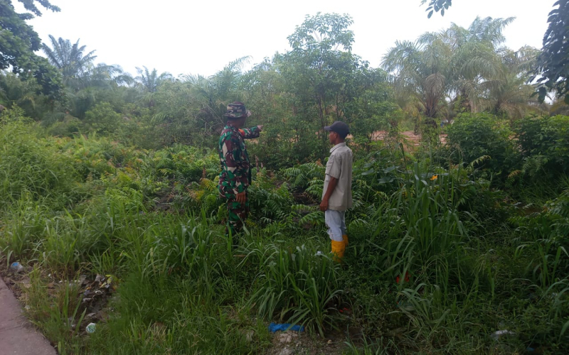 Babinsa Bagan Keladi Ajak Warga Olah Lahan Tanpa Bakar Melalui Penanaman Kangkung