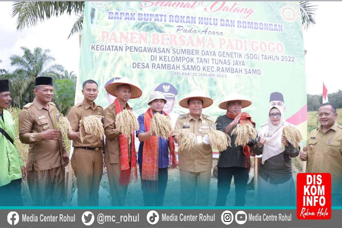 Panen Padi Gogo, Bupati Sukiman Harapkan sebagai Upaya Wujudkan Ketahanan Pangan