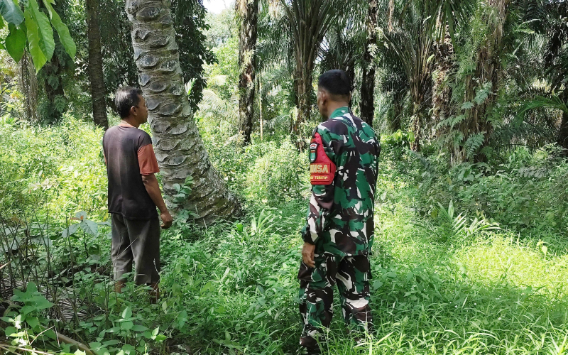 Patroli Jalur Dumai–Rohil, Babinsa Ingatkan Larangan Buka Lahan dengan Membakar