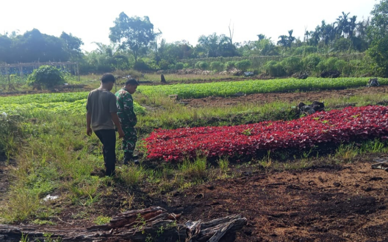 Babinsa Koramil 01/Dumai Gencarkan Patroli Karhutla dan Sosialisasi Banjir di Purnama