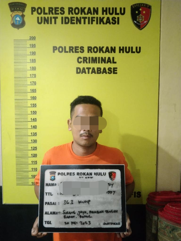 Tersangka Pencuri Sepeda Motor Dibekukuk Team Resmob Polres Rohul Di Desa Sialang Jaya