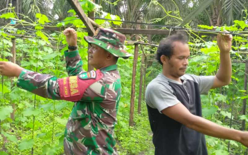 Babinsa Bangsal Aceh Laksanakan Patroli Karhutla dan Dampingi Karya Nyata Tanaman Gambas