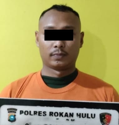 Gelapkan Dua Unit Mobil Lesing PT BFI Seharga Ratusan Juta Rupiah, Pria Ini Diringkus Sat Reskrim Polres Rohul