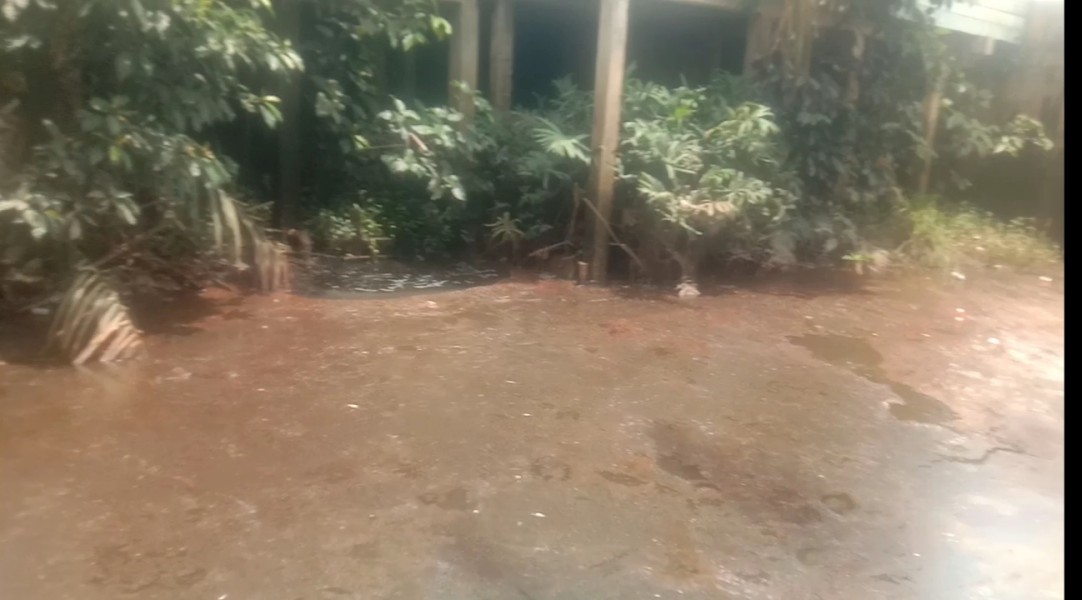 Limbah Pabrik Kelapa Sawit PT SSM Diduga Cemari Lingkungan Sungai Bawah