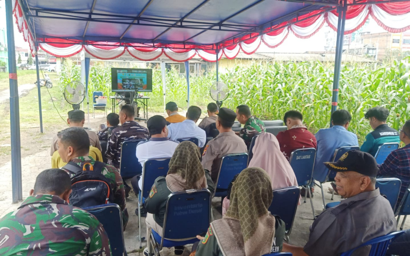 Kolaborasi TNI, Pemerintah, dan Petani Sukseskan Panen Raya Jagung Dumai