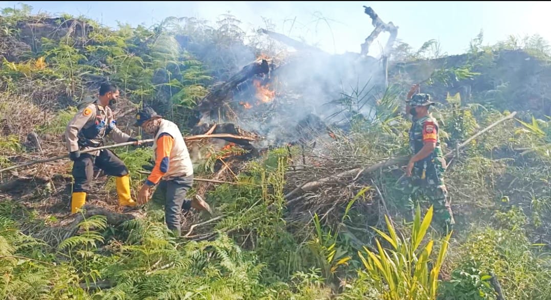Kemarau Datang, Karhutla Mulai Terjadi Di Kabupaten Rokan Hulu